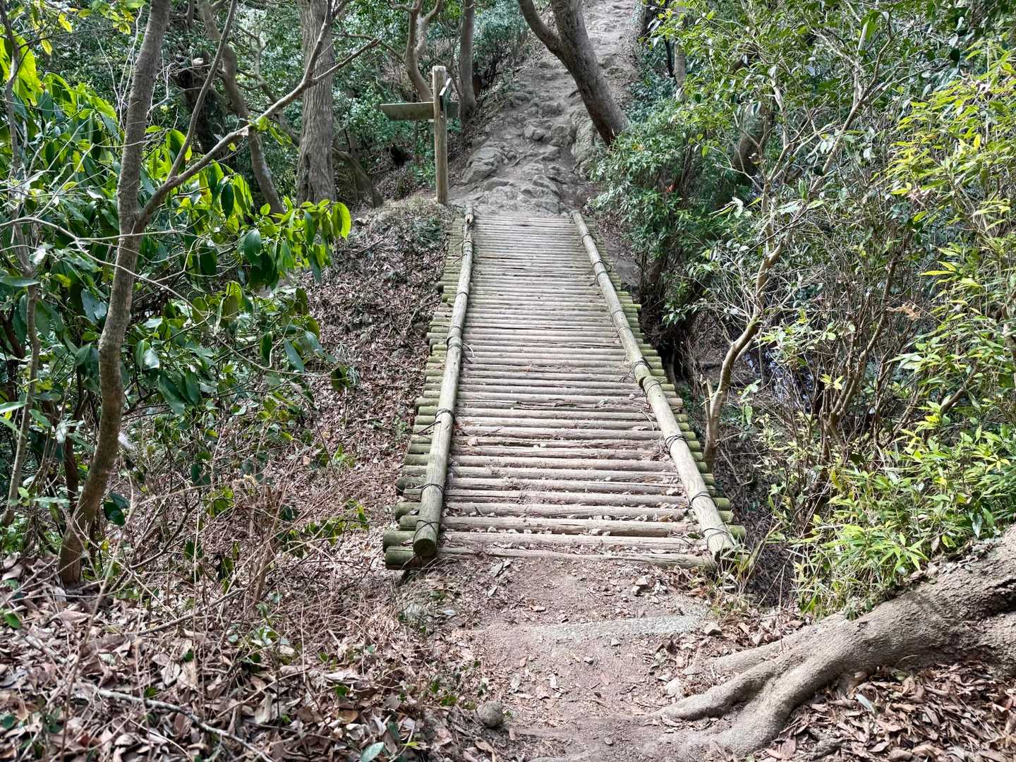 堀切の遺構らしい😚