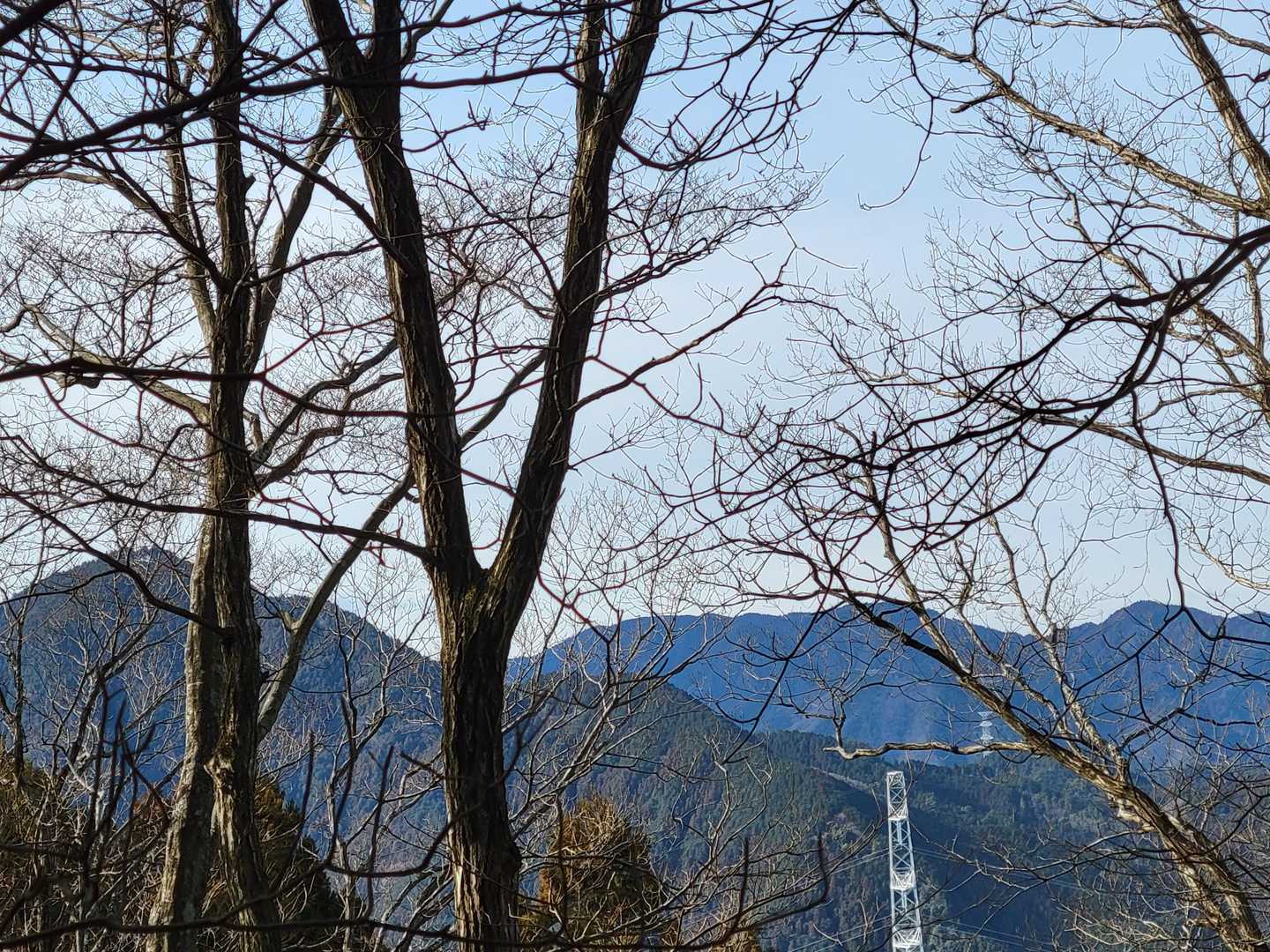 左　局ヶ岳？
真ん中　大洞山
右　尼ヶ岳