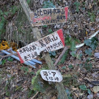 大平区の下山道にはいってしまいました😱