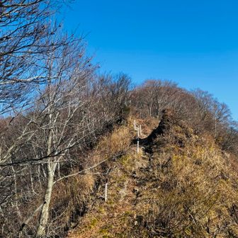 鎖もキチンとお片付けされてる🙏