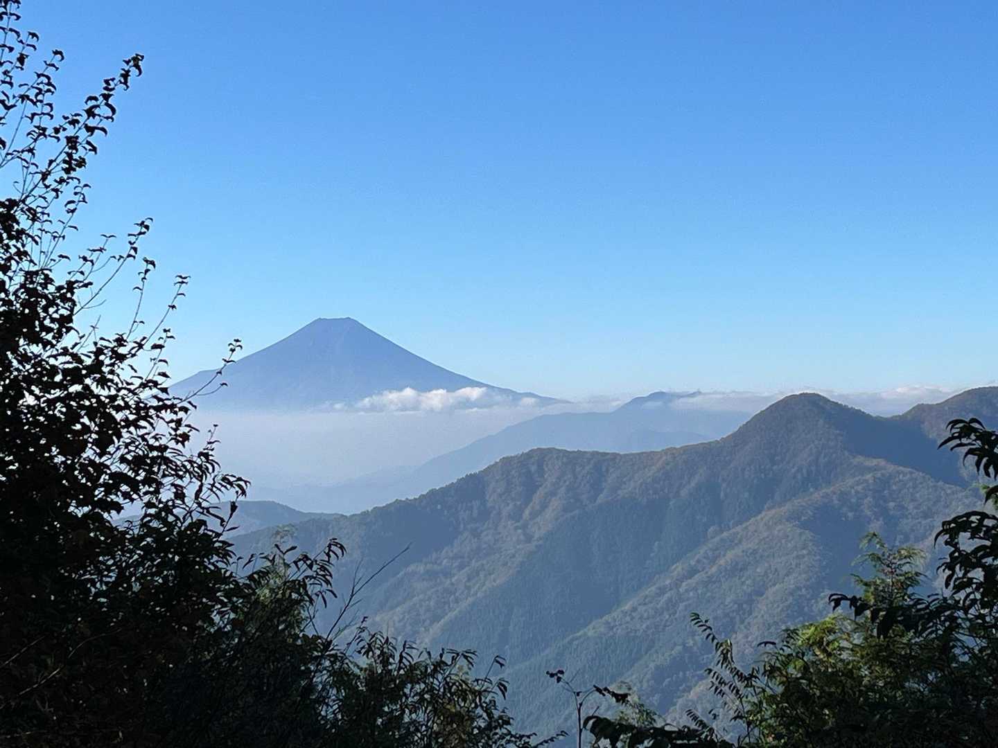 手前のピークは本社ヶ丸っぽい