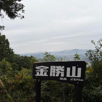 金勝山⛰️