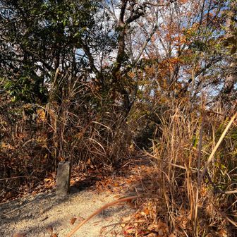 54　日南山　188.0m
No.14
団体が道すがら写真を撮っている隙に横を通過させてもらって、なんとか脱出🤣