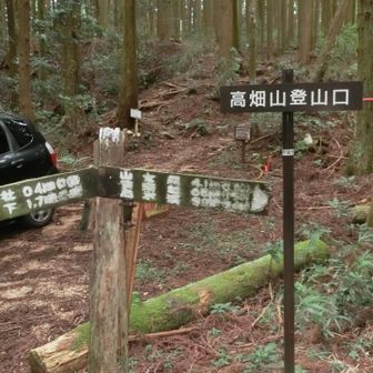登山口が駐車場から近いのは助かります