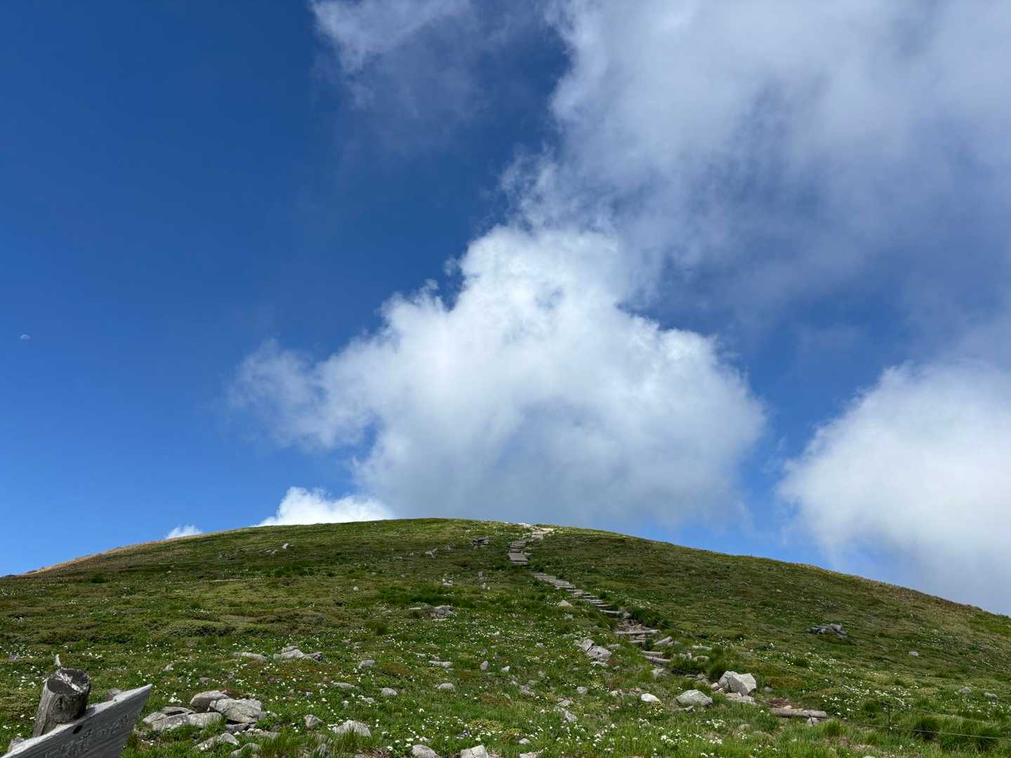この丸みと空の青。なぜか好き…