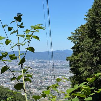 眺望むしろ中腹の方がいいんちゃうか