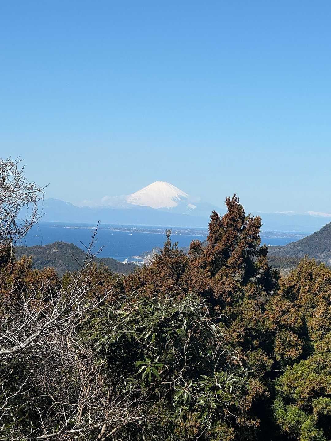やっぱり富士山見えるとテンション上がる