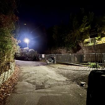 早朝の為に自転車無し
いつもいらっしゃっているバイクが1台