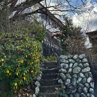                       西登山口に下りて来ました
                             おつかれ山⛰️♡

                 ランチの予約時間が迫ってるよ〜

                 ヽ(￣д￣;)ノ=3=3=3 ｲｿｹﾞｲｿｹﾞ~

                  メインはこっち？かも？🤭笑
