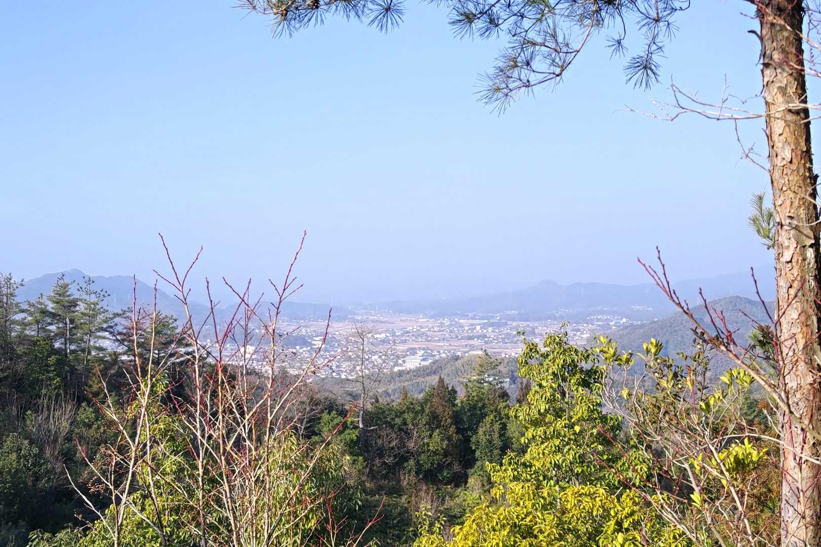 大師山-三ヶ岳 往復コースの写真