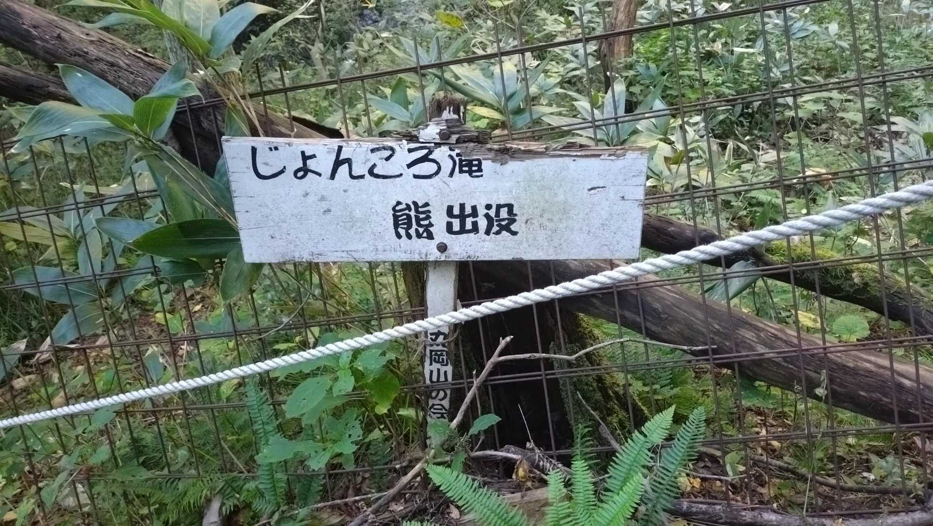 マジ💦