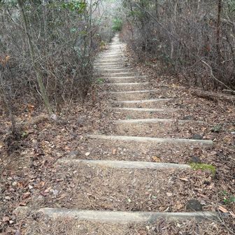 あとは下山して駐車場まで。
7座17キロ
なかなかのトレーニングになりました〜