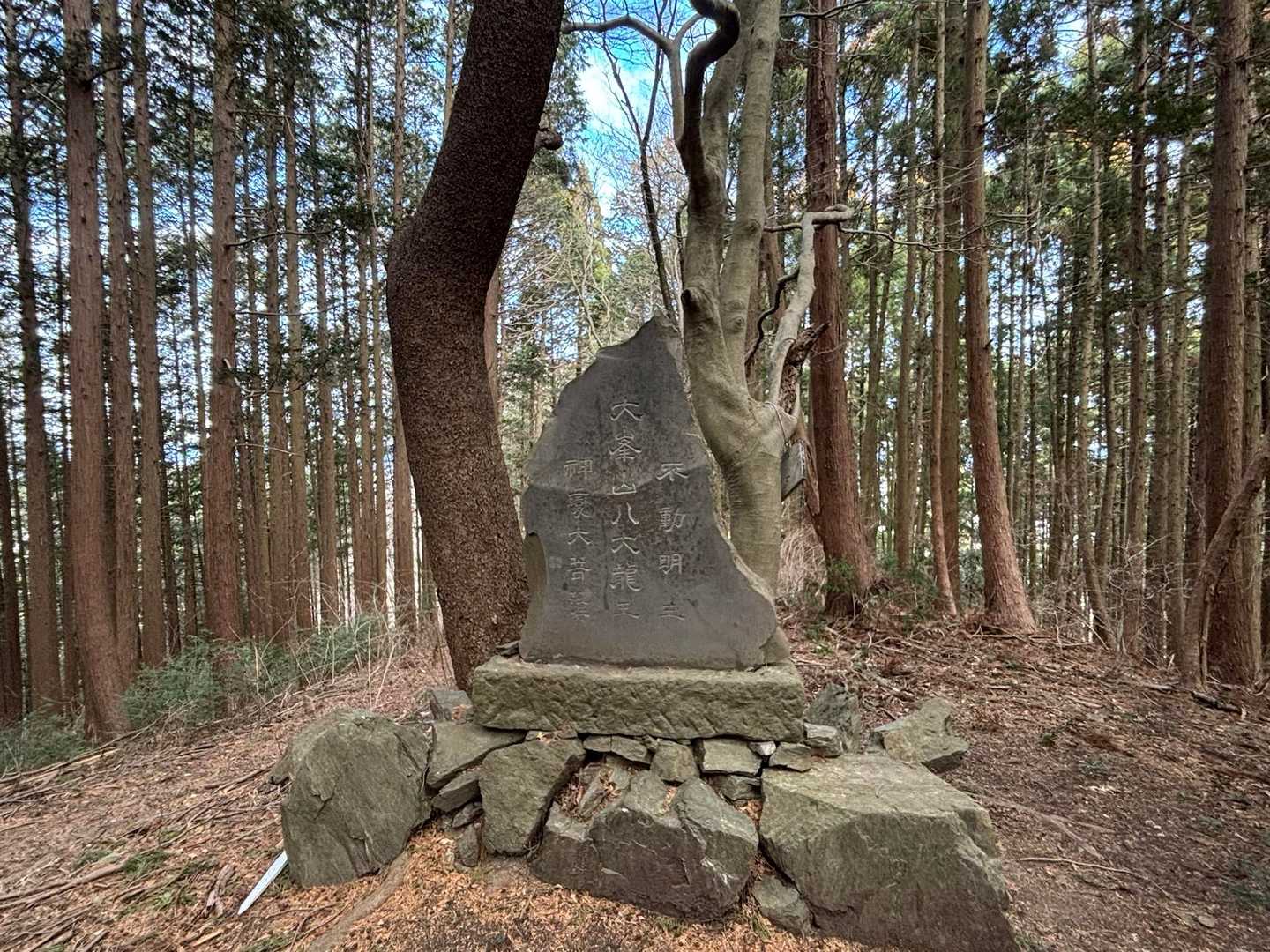 陣見山登山口-陣見山-十二天山 周回コースの写真