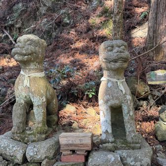 かわいい狛犬🐶