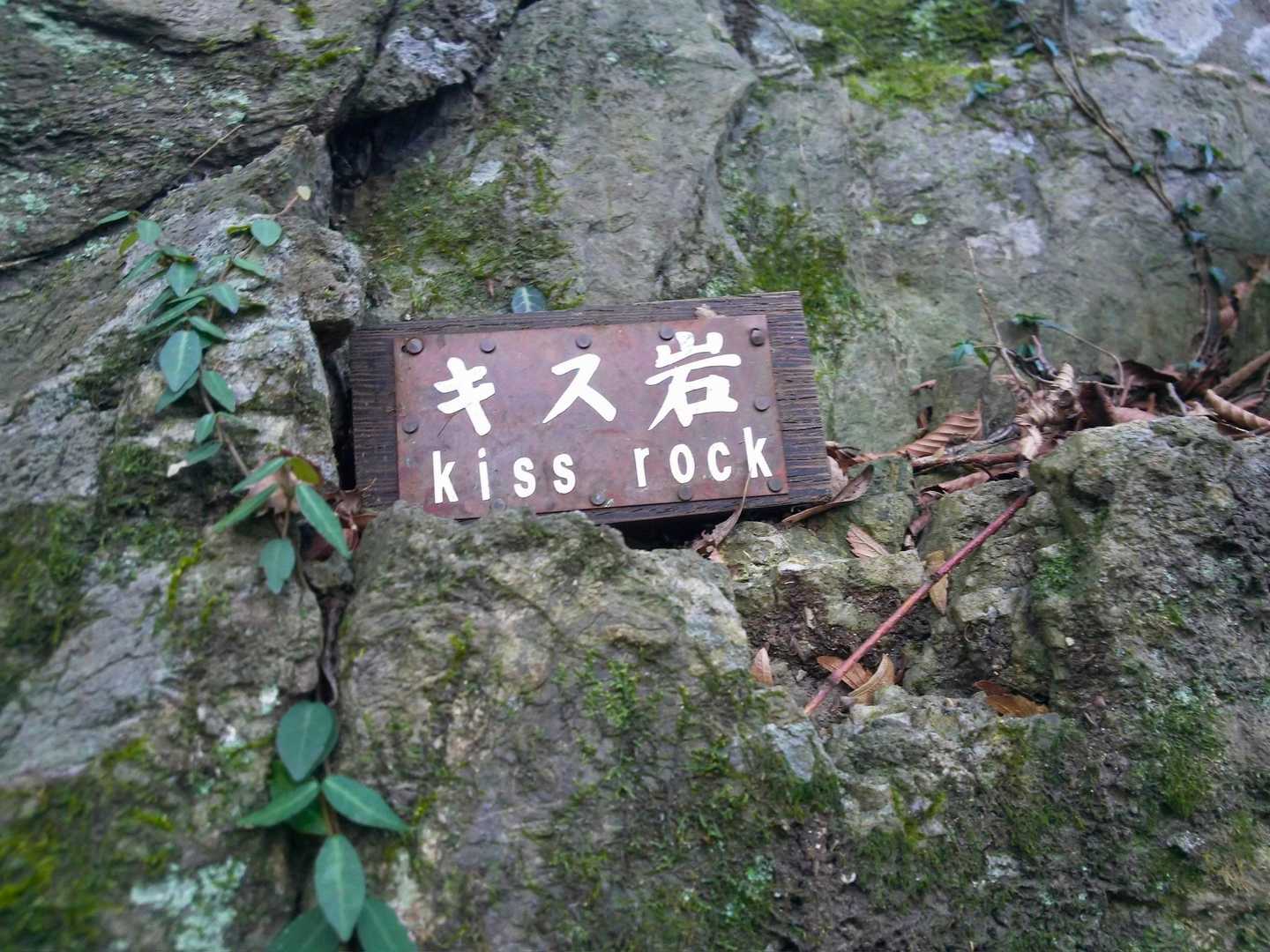 えっ！♡キス岩？...