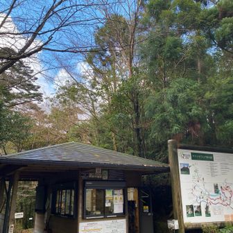 ヤクスギランド入口。