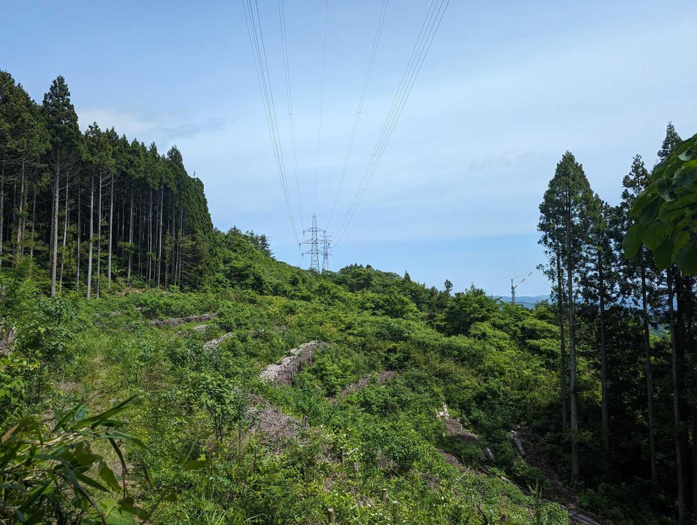 青麻山 周回コースの写真