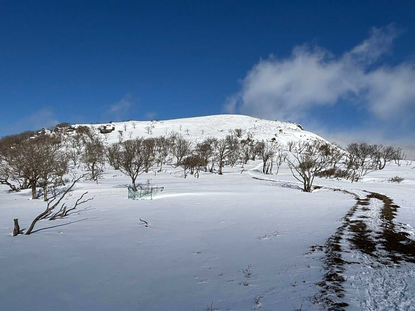 振り返って山頂