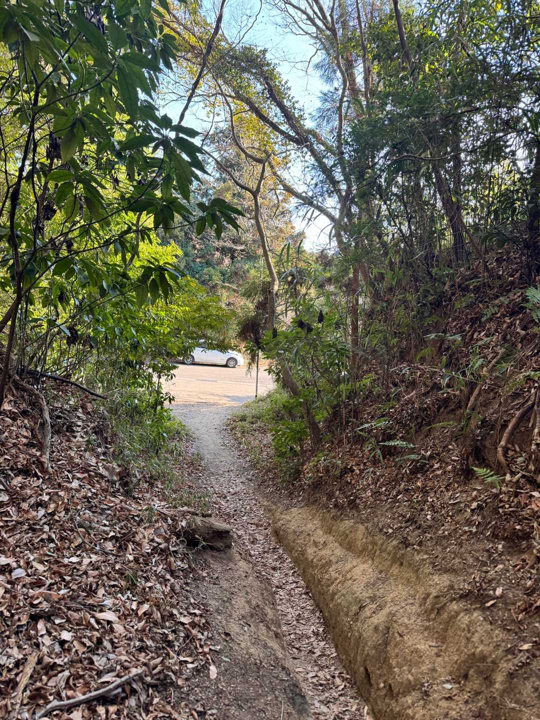 無事下山。
近いんだから
今年は筑波山がんばろ𓃟⋆⋆