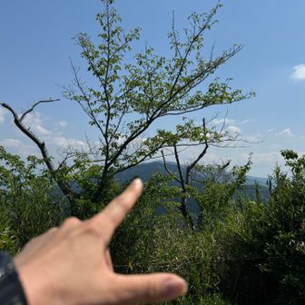 二上山メス着　葛城が遠くに見えます