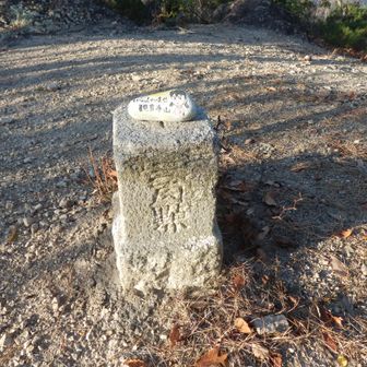 観音寺山に戻ってきました