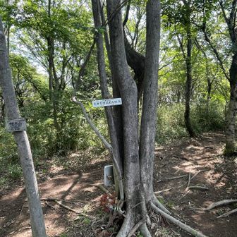 太田市標高最高地点275m、根本山。
太田市は、平地が多い街なのね。
