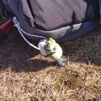 ガチャの無事カエル君