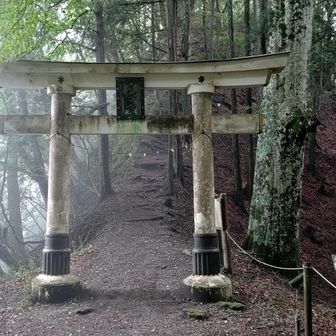 三つ目の鳥居⛩️あと600m