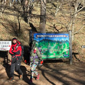 やっとこまともな登山口に来ました😂