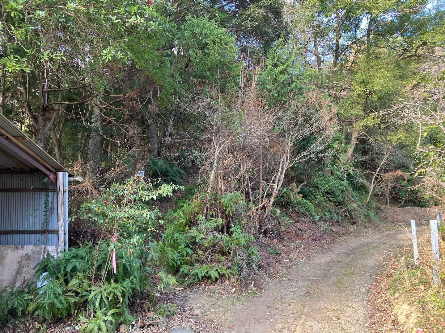 登山口の手前に墓地公園があって、広場の片隅に車を停めましたが、お墓参りの時期とかは停めづらそうです
墓地公園過ぎて狭い道を少し行くと２台くらい置けるスペースもありました🚗
距離はありそうですが、入野松原の駐車場に停めて歩いてくるのもありかな〜？
車庫の向こうにピンクテープがあって、そこが登山口です