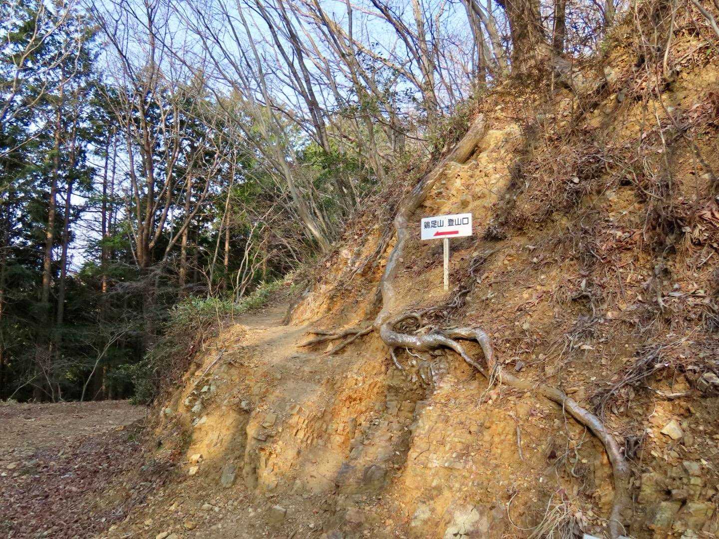 鶏足山へ向かう途中の分かりにくい分岐❕
林道ではなく⇦に向かって登って行きます