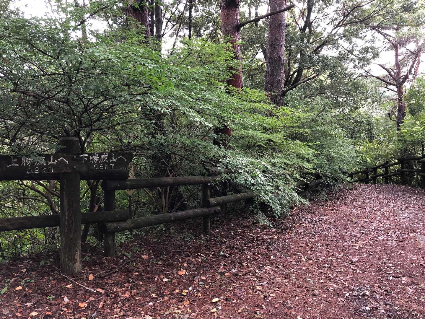 滑る階段に気を付けながら、🅿まで帰ってきました
お疲れ🏔でした