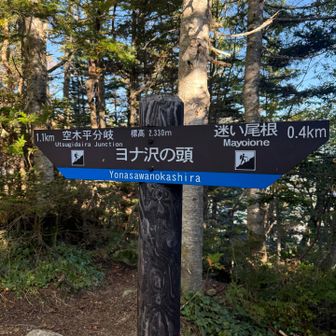 ヨナ沢の頭