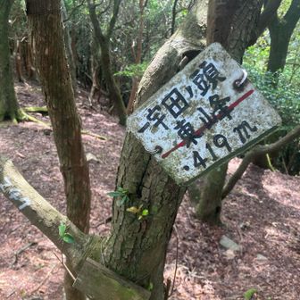 一宇田の頭東峰(赤嶺)419mに到着
