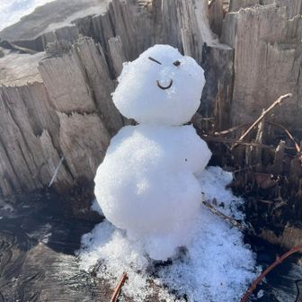 右目が落っこってたので、その辺の草の先をくっ付けて