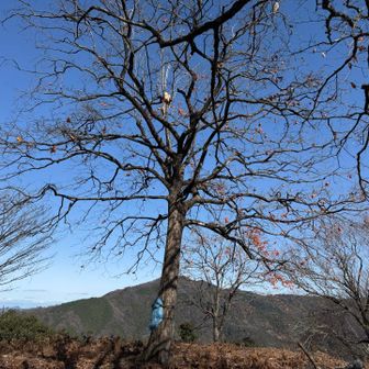 はい、ついた！