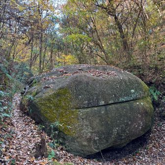おっきい岩です、何かに似てる？