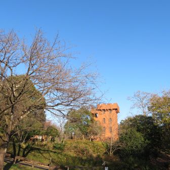 展望台も見えてきました。