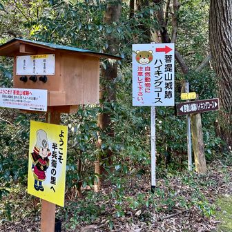 さあ、行きましょう。来訪者調査の箱が秀逸