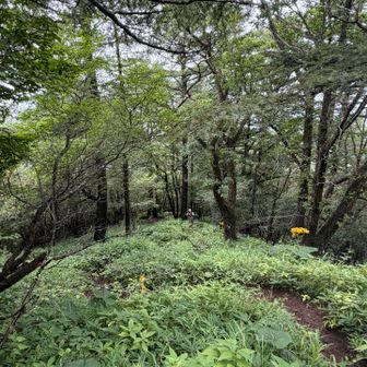 さて！下山
