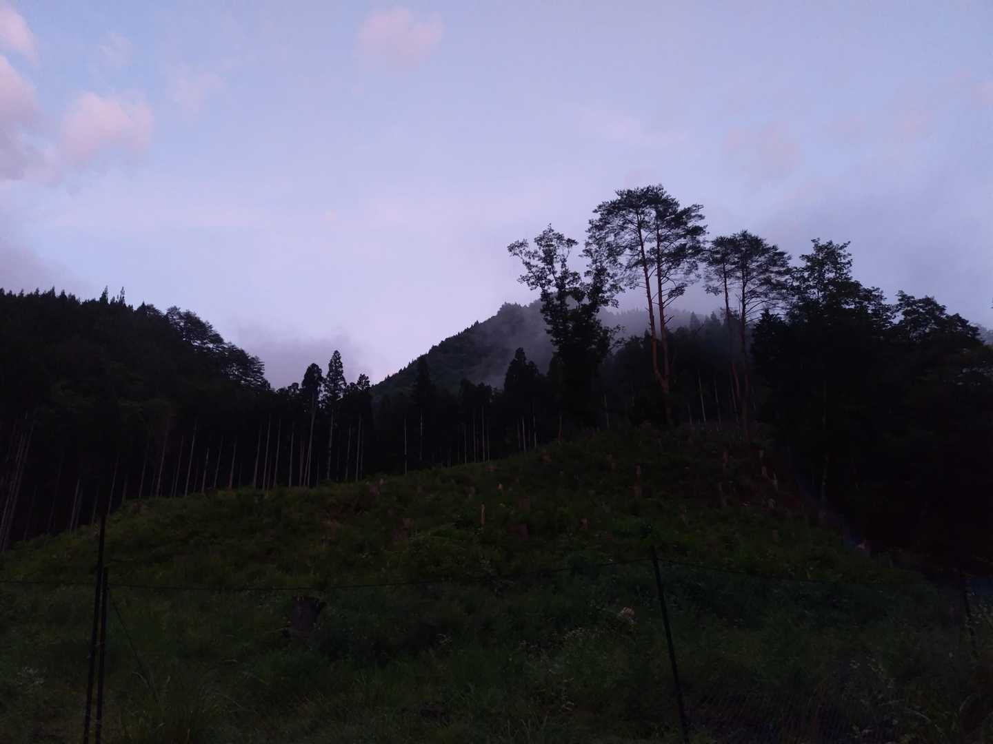 細尾山 周回コースの写真