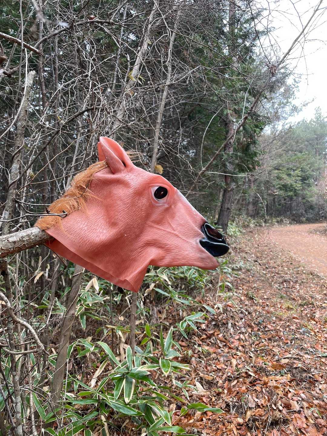 あっ🐎