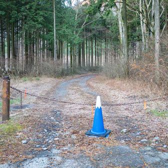 カラーコーンが富士山で可愛いね