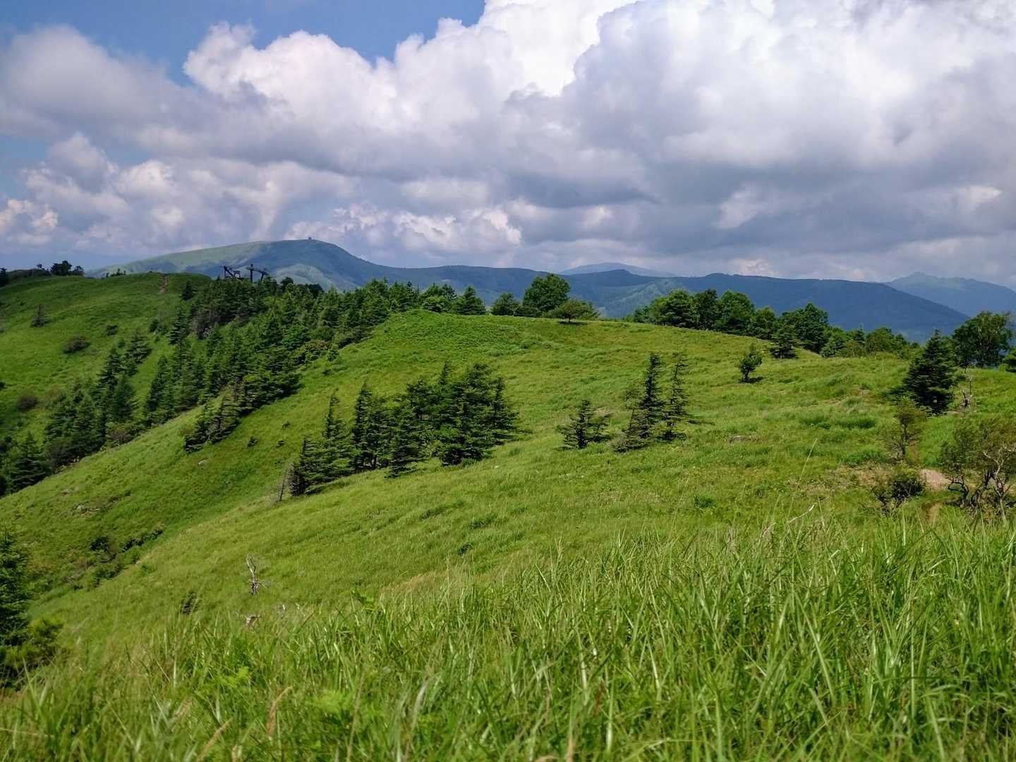 蓼科山登山口-八子ヶ峰東峰-八子ヶ峰 縦走コースの写真
