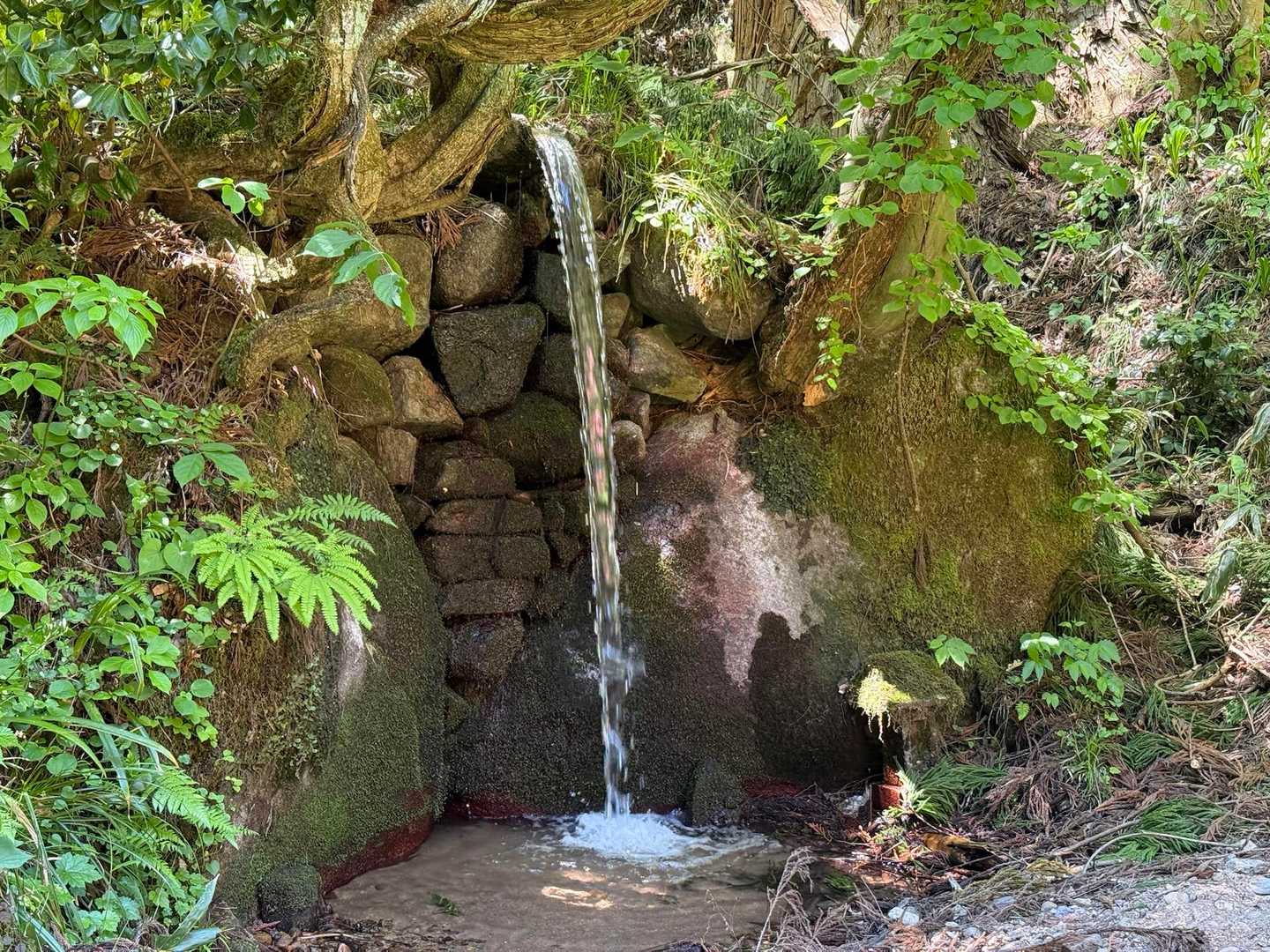 青龍寺登山口-金峯山-鎧ヶ峰 周回コースの写真