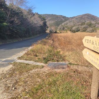 ワンコの頭の軌跡をかくため道路をテクテク
