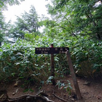 富士見ベンチ