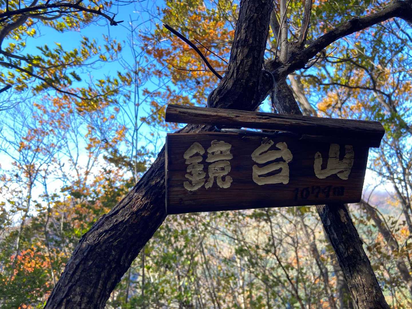 30分ほどで到着。