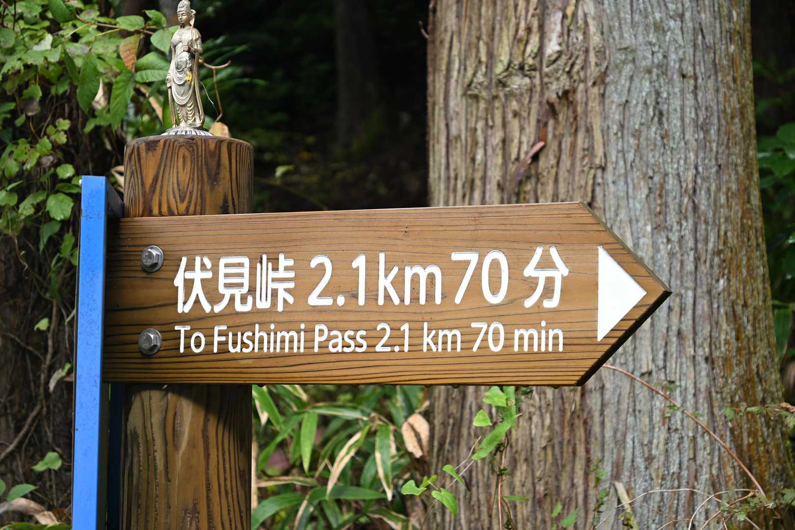 百ヶ辻登山口-伏見峠-府民の森 ちはや園地-金剛山 往復コースの写真