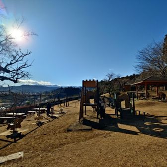 風はあるけど良い天気だし☀エナガを見れて子供らも満足🐦️✨このあとビジターセンターでビンゴクリアしてエナガのカード貰ってた。しかも2人とも同じエナガ😅